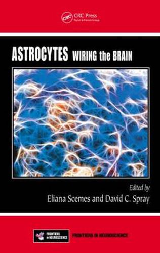 Cover image for Astrocytes: Wiring the Brain