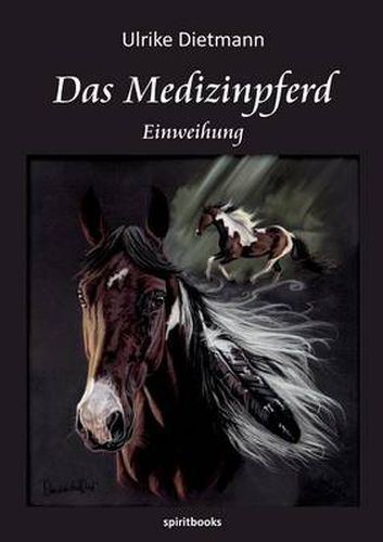 Cover image for Das Medizinpferd