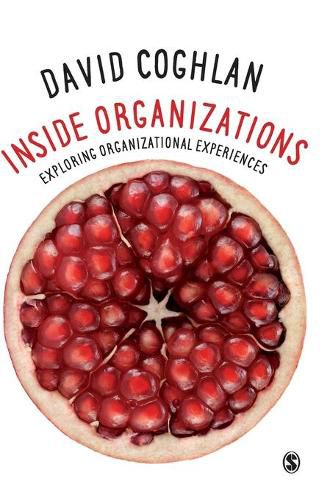 Inside Organizations: Exploring Organizational Experiences