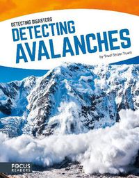 Cover image for Detecting Diasaters: Detecting Avalanaches