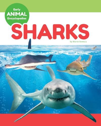 Cover image for Sharks