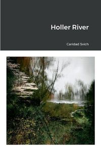 Cover image for Holler River