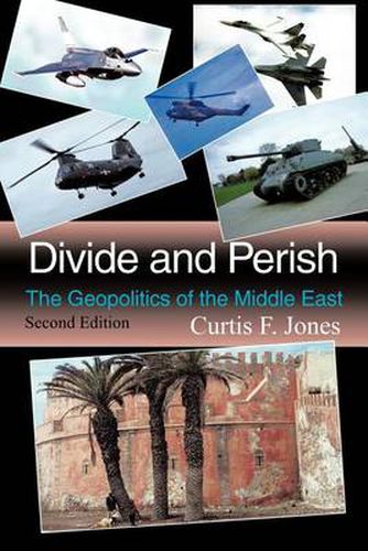 Cover image for Divide and Perish