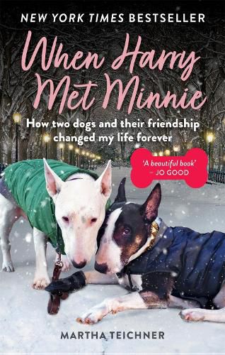 Cover image for When Harry Met Minnie: An unexpected friendship and the gift of love beyond loss