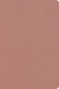 Cover image for CSB Study Bible, Personal Size Edition, Rose Gold Leathertouch