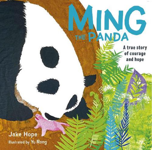 Cover image for Ming the Panda