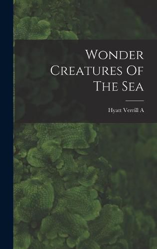 Cover image for Wonder Creatures Of The Sea