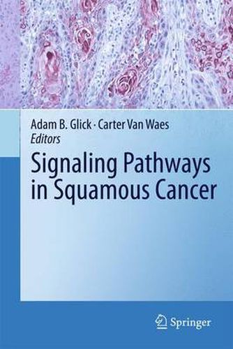 Cover image for Signaling Pathways in Squamous Cancer