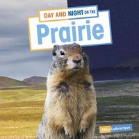 Cover image for Day and Night on the Prairie