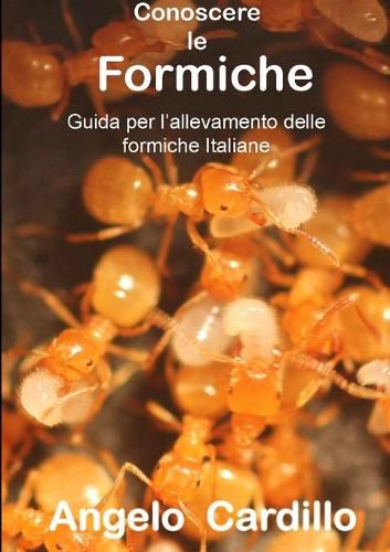 Cover image for CONOSCERE LE FORMICHE