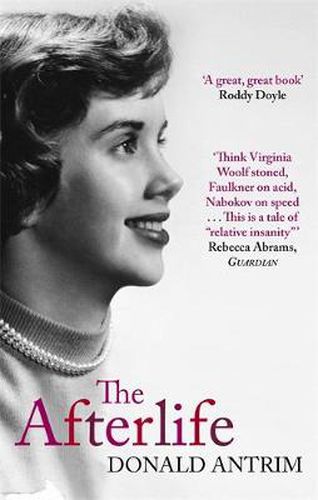 Cover image for The Afterlife: After Death