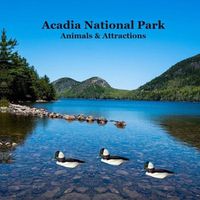 Cover image for Acadia National Park Animals and Attractions Kids Book