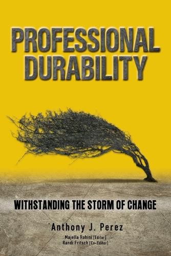 Cover image for Professional Durability