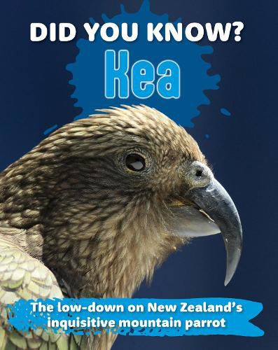 Cover image for Did You Know? Kea