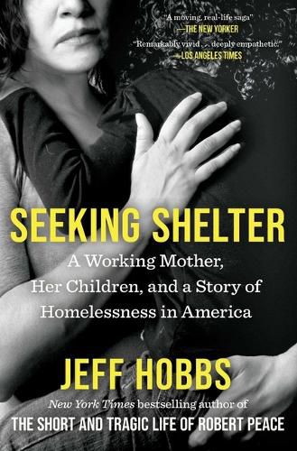 Cover image for Seeking Shelter