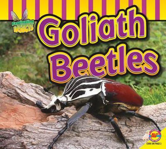 Cover image for Goliath Beetle