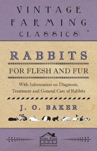 Rabbits for Flesh and Fur - With Information on Breeding, Varieties, Housing and Other Aspects of Rabbit Farming on a Smallholding