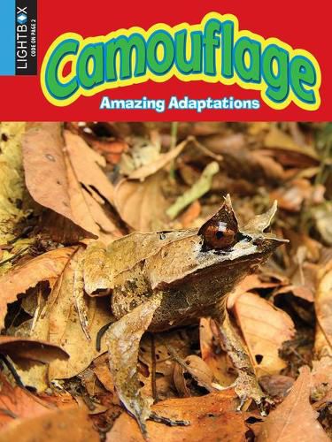 Cover image for Camouflage