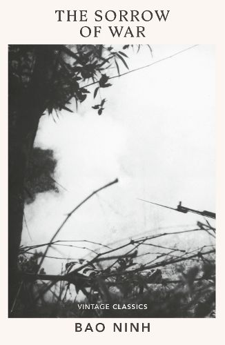 Cover image for The Sorrow of War