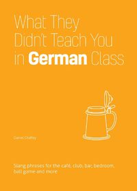 Cover image for What They Didn't Teach You In German Class: Slang Phrases for the Cafe, Club, Bar, Bedroom, Ball Game and More