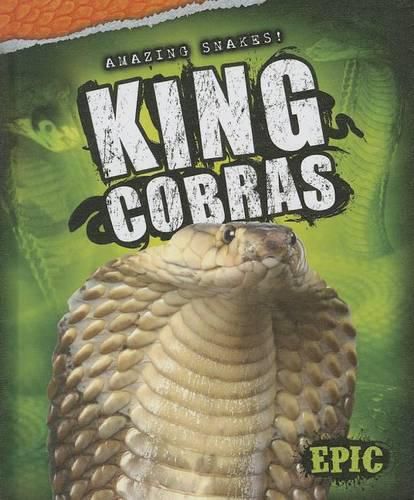 Cover image for King Cobras