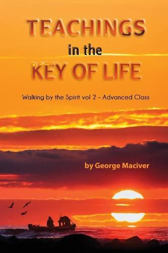 Cover image for Teachings in the Key of Life