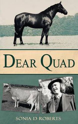 Cover image for Dear Quad