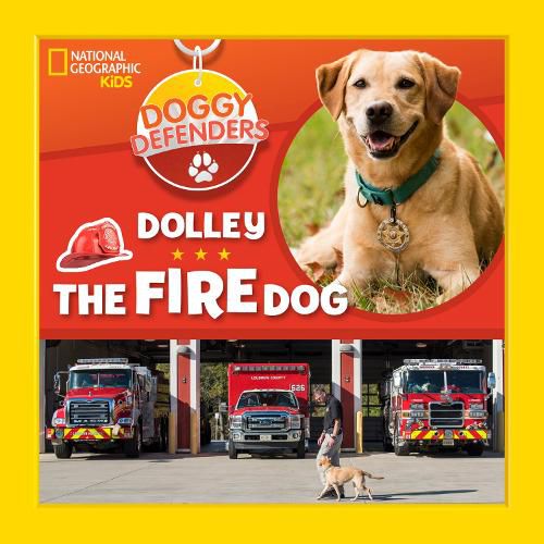 Cover image for Dolley the Fire Dog