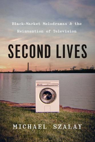 Cover image for Second Lives