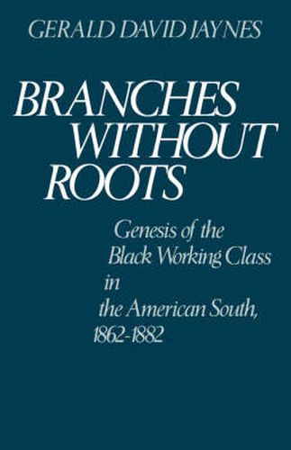 Cover image for Branches without Roots