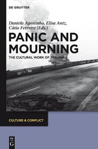 Cover image for Panic and Mourning: The Cultural Work of Trauma