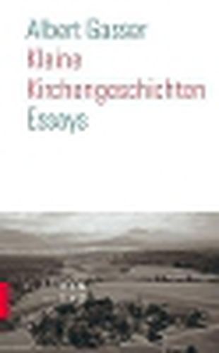 Cover image for Kleine Kirchengeschichten: Essays