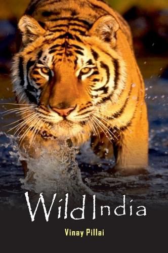 Cover image for Wild India