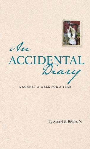 Cover image for An Accidental Diary
