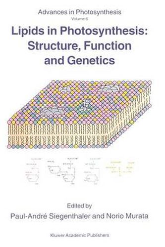 Cover image for Lipids in Photosynthesis: Structure, Function and Genetics
