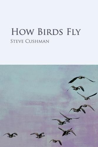 Cover image for How Birds Fly