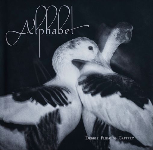 Cover image for Alphabet