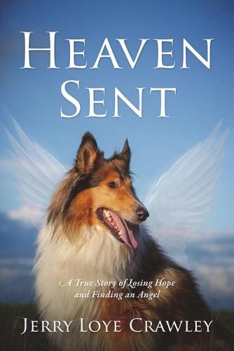 Cover image for Heaven Sent: A True Story of Losing Hope and Finding an Angel