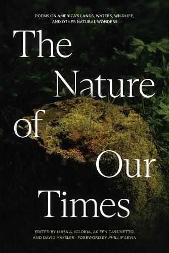 Cover image for The Nature of Our Times