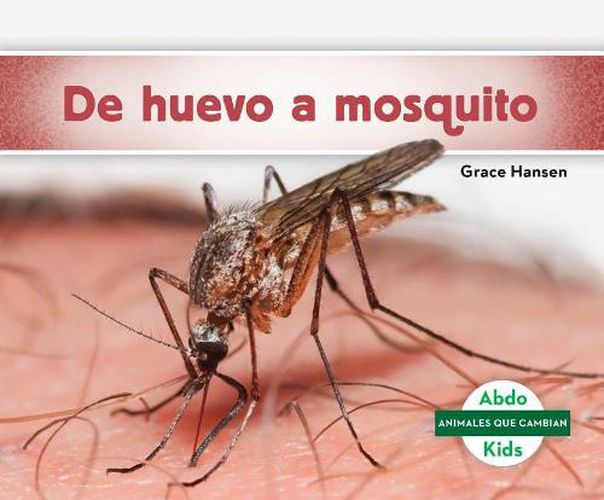 Cover image for De Huevo a Mosquito / Becoming a Mosquito
