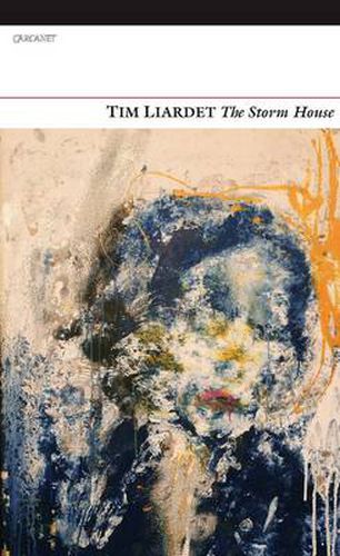 Cover image for The Storm House