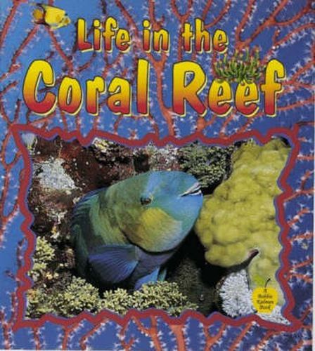 Life in the Coral Reef