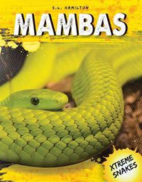 Cover image for Mambas