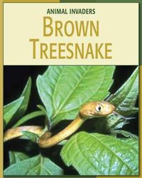 Cover image for Brown Treesnake
