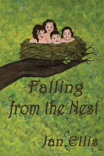 Cover image for Falling From The Nest