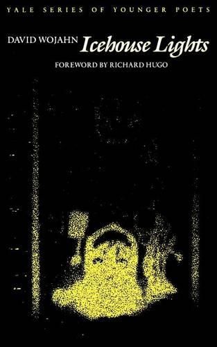 Cover image for Icehouse Lights