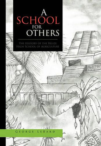 Cover image for A School for Others
