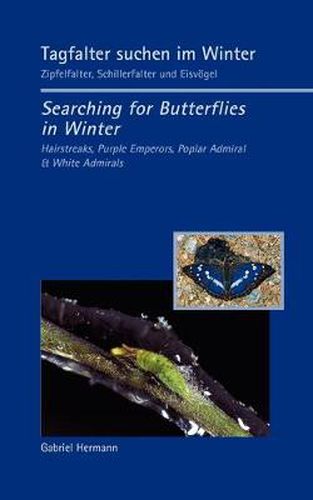 Cover image for Tagfalter suchen im Winter / Searching for Butterflies in Winter: Zipfelfalter, Schillerfalter und Eisvoegel / Hairstreaks, Purple Emperors, Poplar Admiral & White Admirals