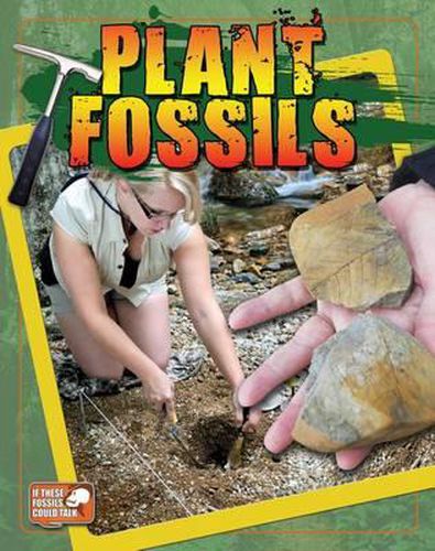 Plant Fossils