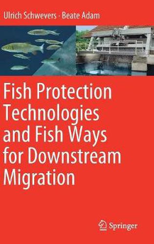 Cover image for Fish Protection Technologies and Fish Ways for Downstream Migration